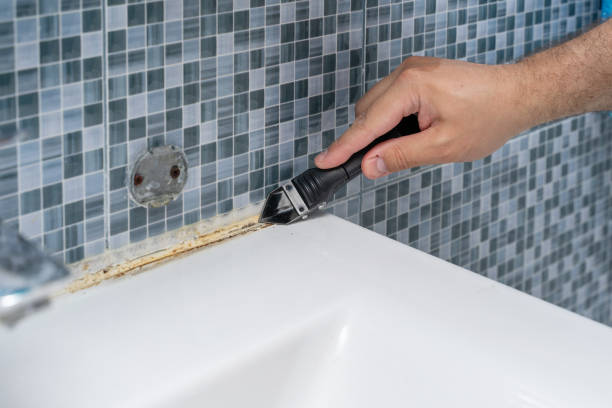 Best Mold Removal Company Near Me  in Island Walk, FL